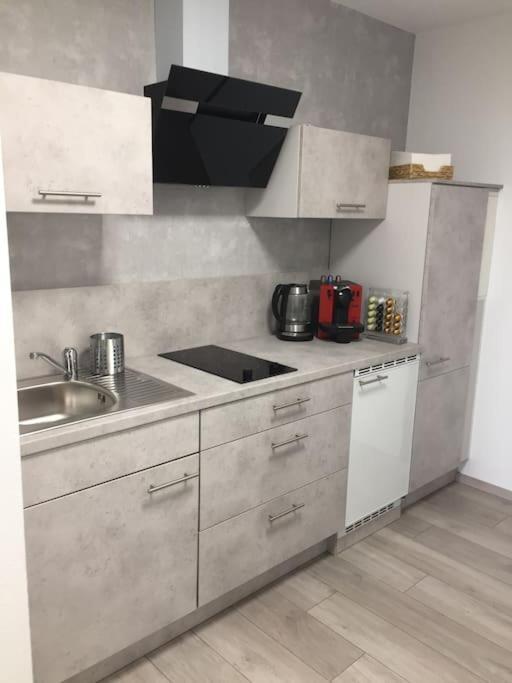 Modern Eingerichtetes Apartment Naehe Hauptbahnhof Braunschweig Eksteriør billede